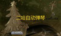 二哈自动弹琴